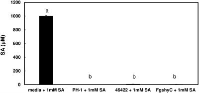 Characterization of a Fusarium graminearum Salicylate Hydroxylase